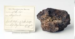 Foto von Anglesit (NHMW-MIN-Ad150)